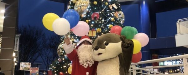 クリスマスイベントのご紹介